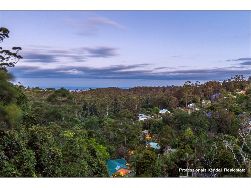 113 Macdonnell Road, Tamborine Mountain QLD 4272