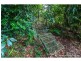 1 Dapsang Drive, Tamborine Mountain QLD 4272