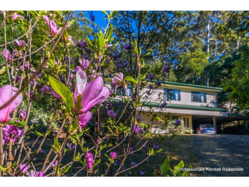 13 Kamet Court, Tamborine Mountain QLD 4272