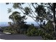 37 Magnetic Drive, Tamborine Mountain QLD 4272