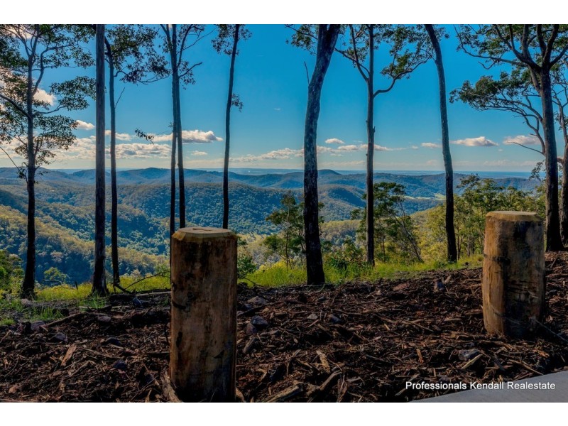 Lot 1 /106 Wongawallan Road, Tamborine Mountain QLD 4272