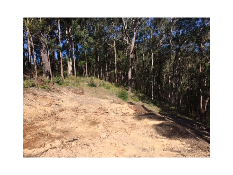 Lot 6/106 Wongawallan Road, Tamborine Mountain QLD 4272