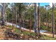 Lot 6/106 Wongawallan Road, Tamborine Mountain QLD 4272