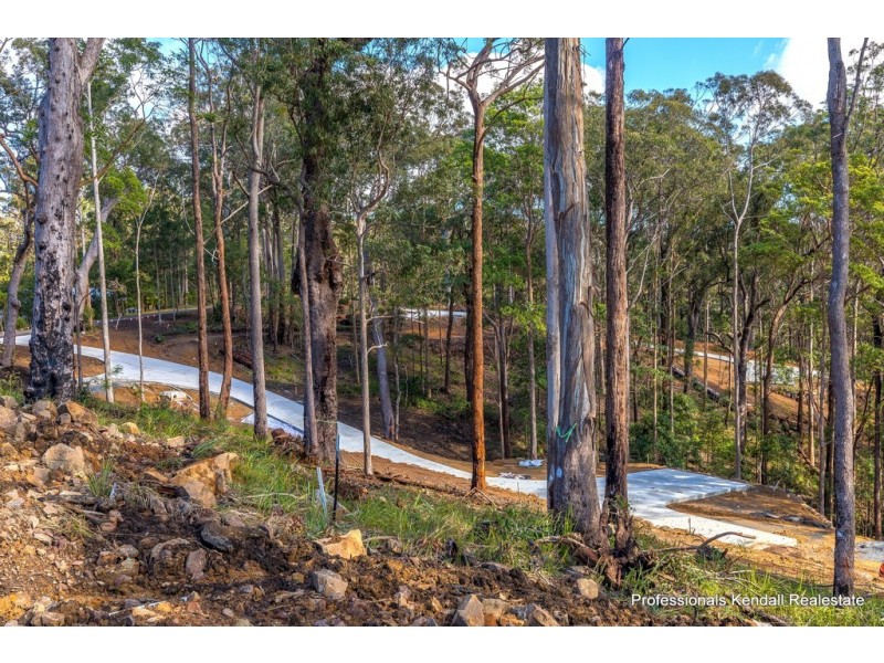 Lot 6/106 Wongawallan Road, Tamborine Mountain QLD 4272