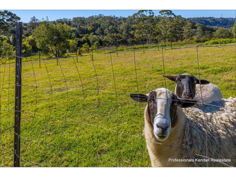 38-50 Lahey Lookout Road, Tamborine Mountain QLD 4272