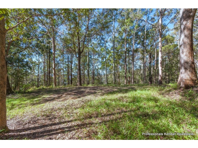 108E Wongawallan Road, Tamborine Mountain QLD 4272