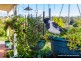 14 Mazama Court, Tamborine Mountain QLD 4272