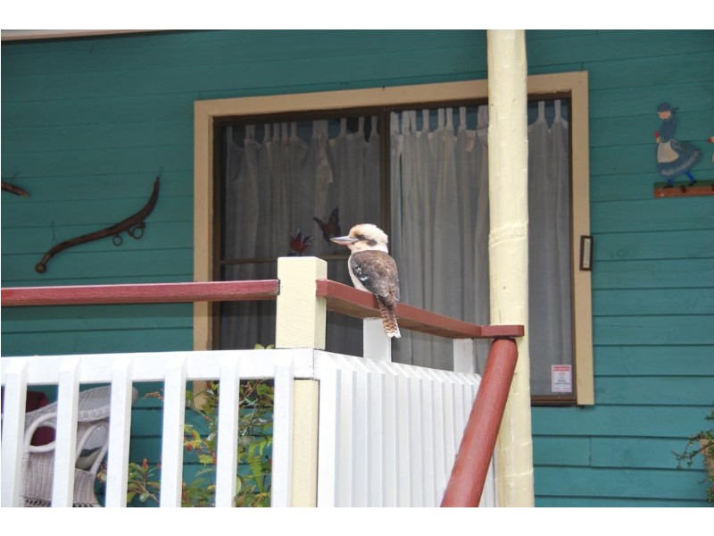 25 Eagle Heights Rd, Eagle Heights QLD 4271