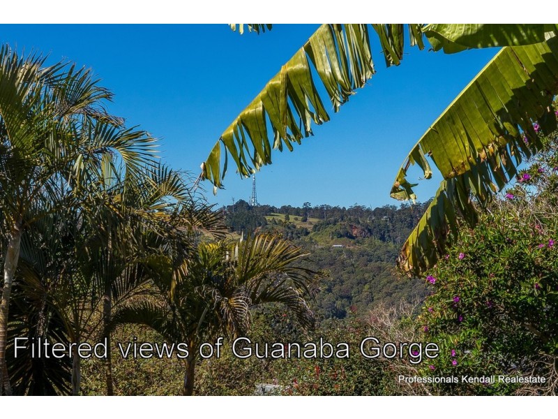 3 Justin Ave, Tamborine Mountain QLD 4272