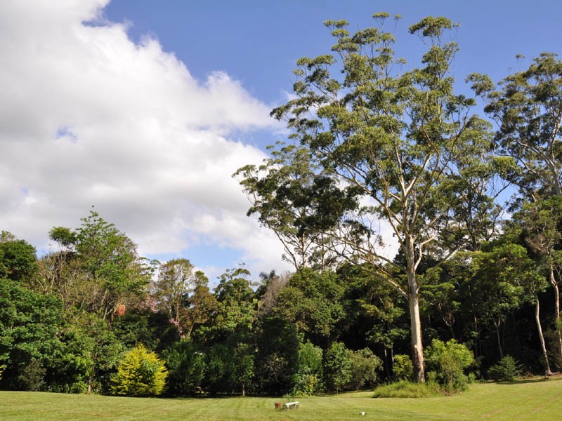 North Tamborine QLD 4272