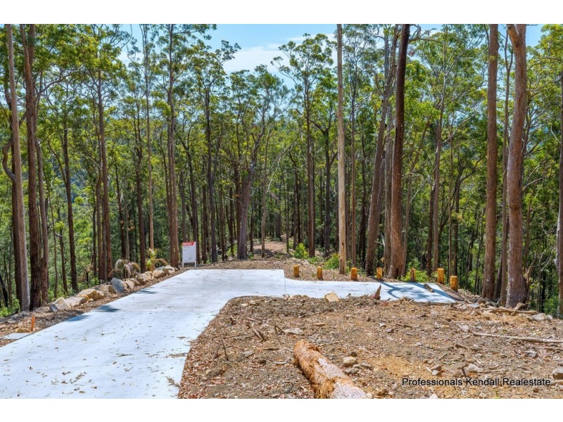 Lot 3/106 Wongawallan Road, Tamborine Mountain QLD 4272