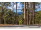 Lot 3/106 Wongawallan Road, Tamborine Mountain QLD 4272