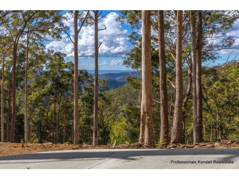 Lot 3/106 Wongawallan Road, Tamborine Mountain QLD 4272