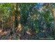 63-69 Curtis Road, Tamborine Mountain QLD 4272