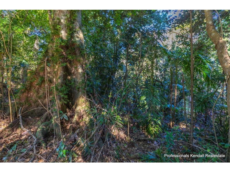 63-69 Curtis Road, Tamborine Mountain QLD 4272