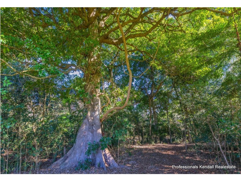 63-69 Curtis Road, Tamborine Mountain QLD 4272