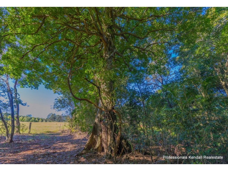 63-69 Curtis Road, Tamborine Mountain QLD 4272