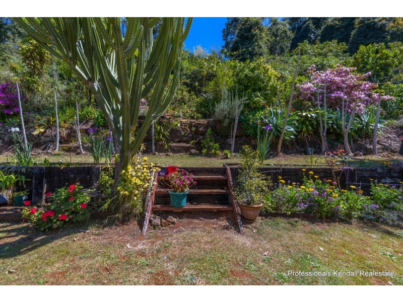 15 Ohia Court, Tamborine Mountain QLD 4272