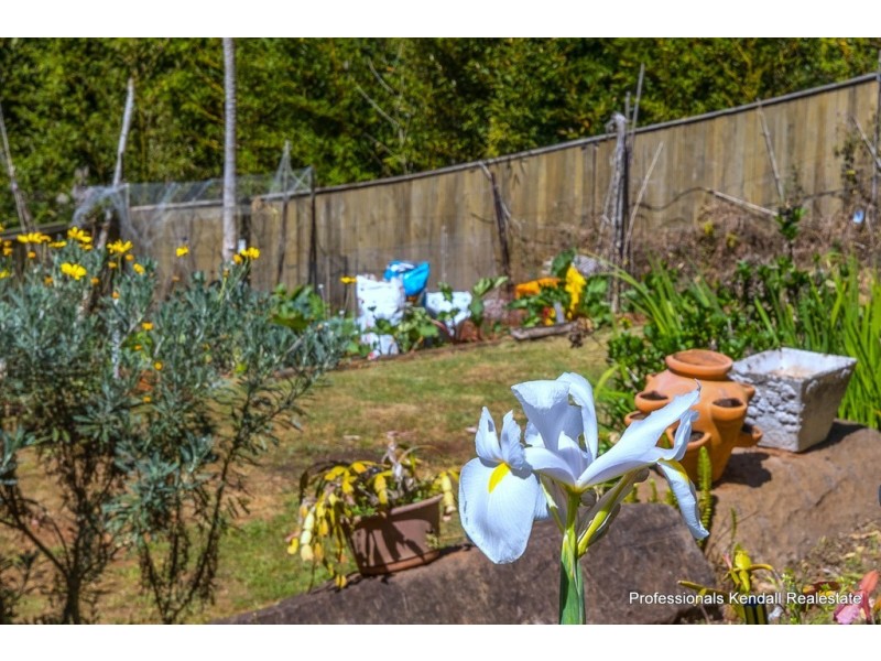 15 Ohia Court, Tamborine Mountain QLD 4272