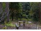11 Rainer Drive, Tamborine Mountain QLD 4272