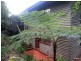 16 Ocean View Parade, Tamborine Mountain QLD 4272