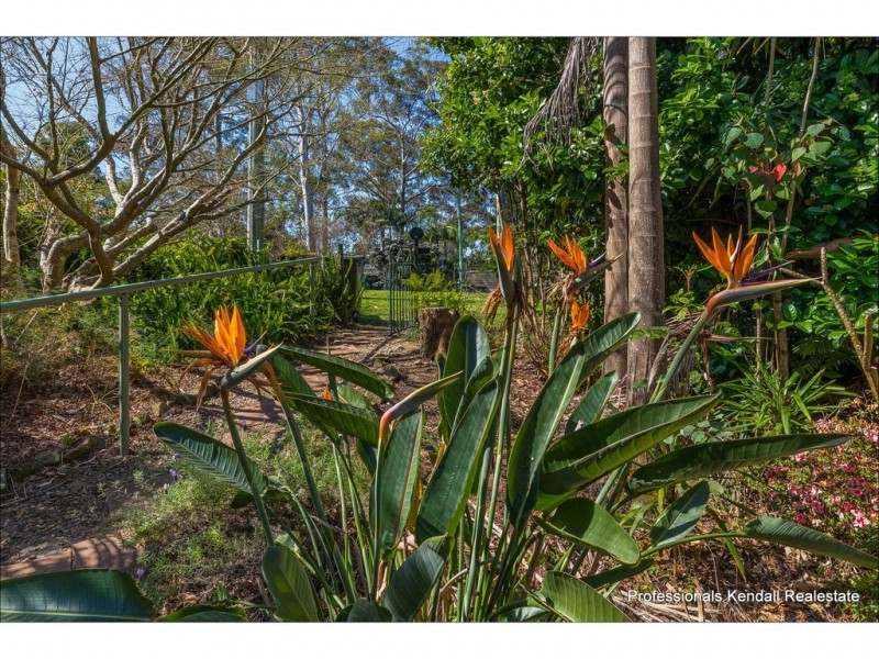 60 Kinabalu Drive, Tamborine Mountain QLD 4272