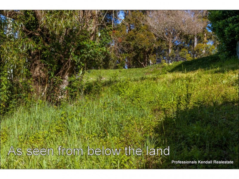 123 Guanaba Rd, Tamborine Mountain QLD 4272