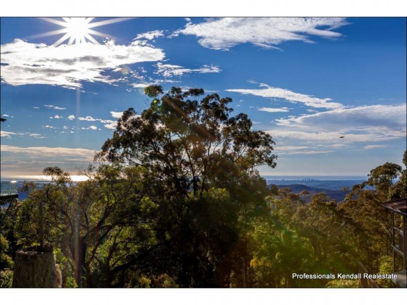 123 Guanaba Rd, Tamborine Mountain QLD 4272