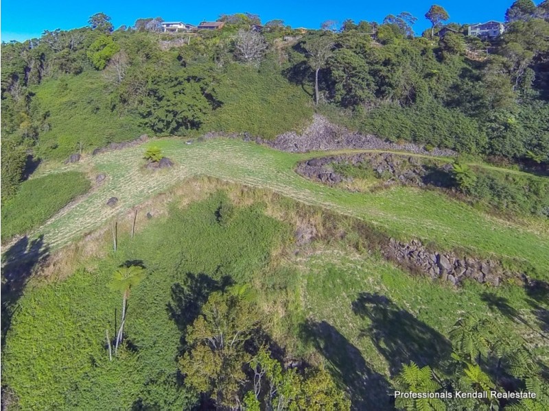 51 Staghorn Road, Tamborine Mountain QLD 4272