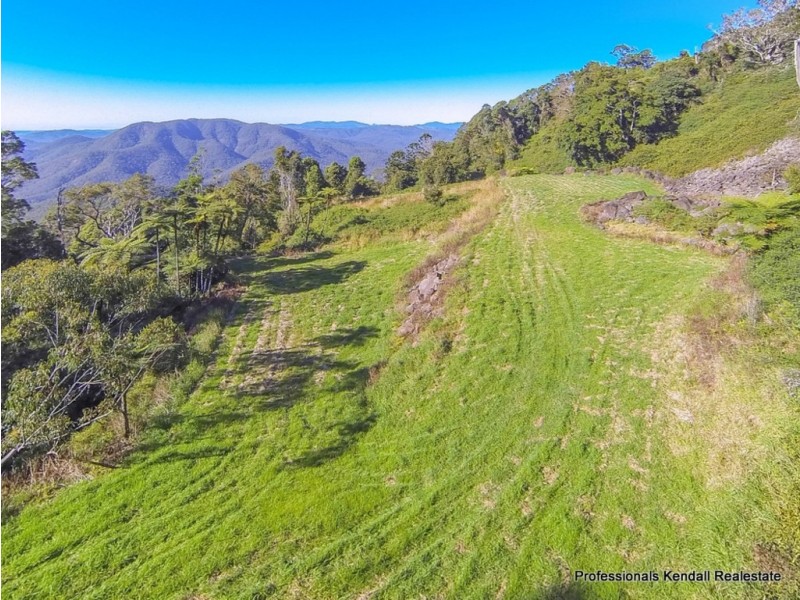 51 Staghorn Road, Tamborine Mountain QLD 4272