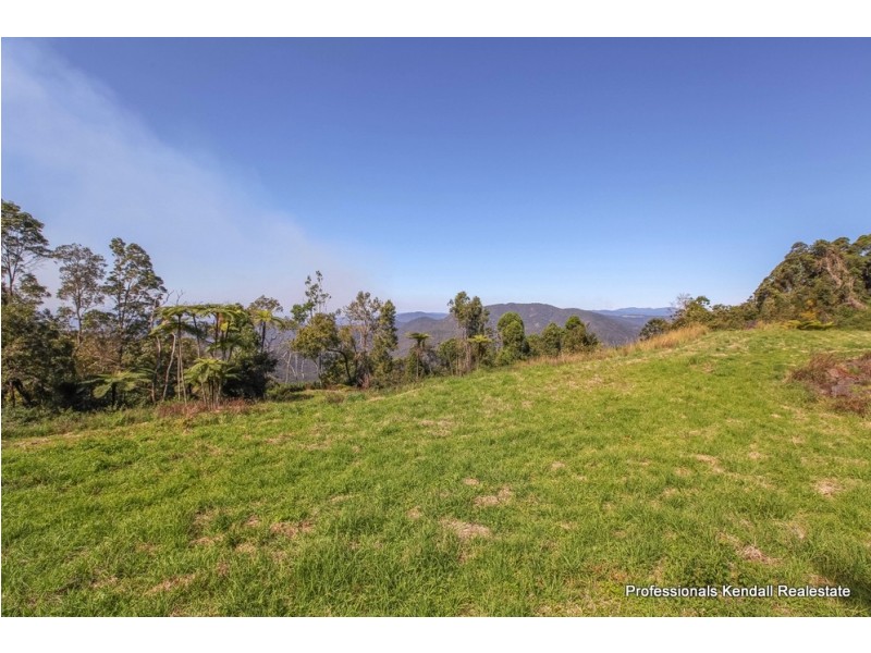 51 Staghorn Road, Tamborine Mountain QLD 4272
