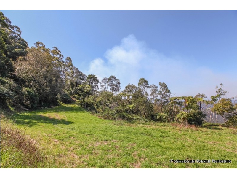 51 Staghorn Road, Tamborine Mountain QLD 4272