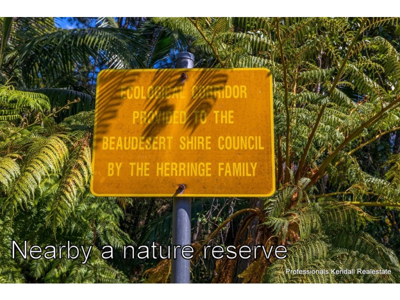 20 Demavend Drive, Tamborine Mountain QLD 4272