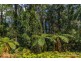 20 Demavend Drive, Tamborine Mountain QLD 4272