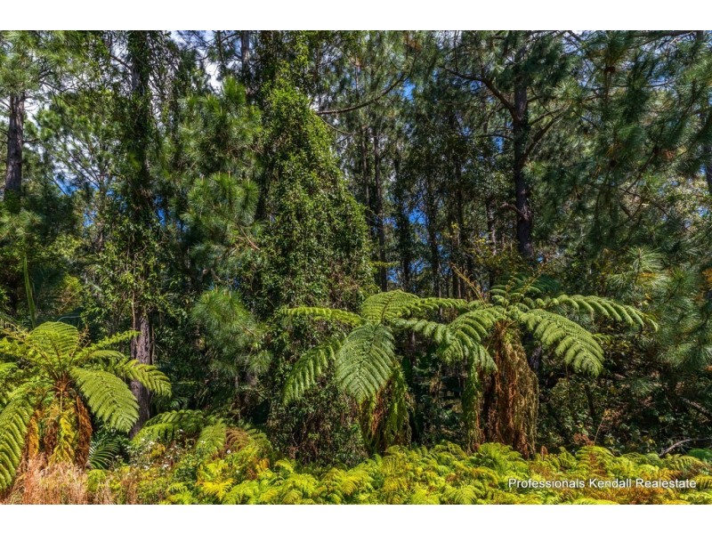 20 Demavend Drive, Tamborine Mountain QLD 4272