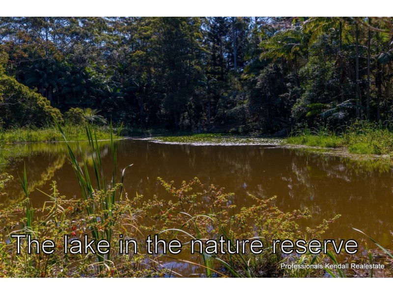 20 Demavend Drive, Tamborine Mountain QLD 4272