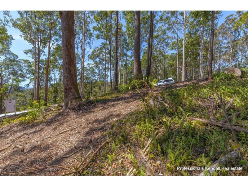 108D Wongawallan Road, Tamborine Mountain QLD 4272