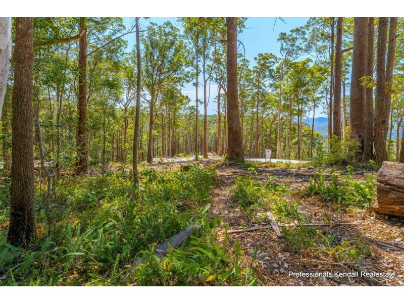 108D Wongawallan Road, Tamborine Mountain QLD 4272