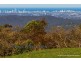 91 Guanaba Road, Tamborine Mountain QLD 4272
