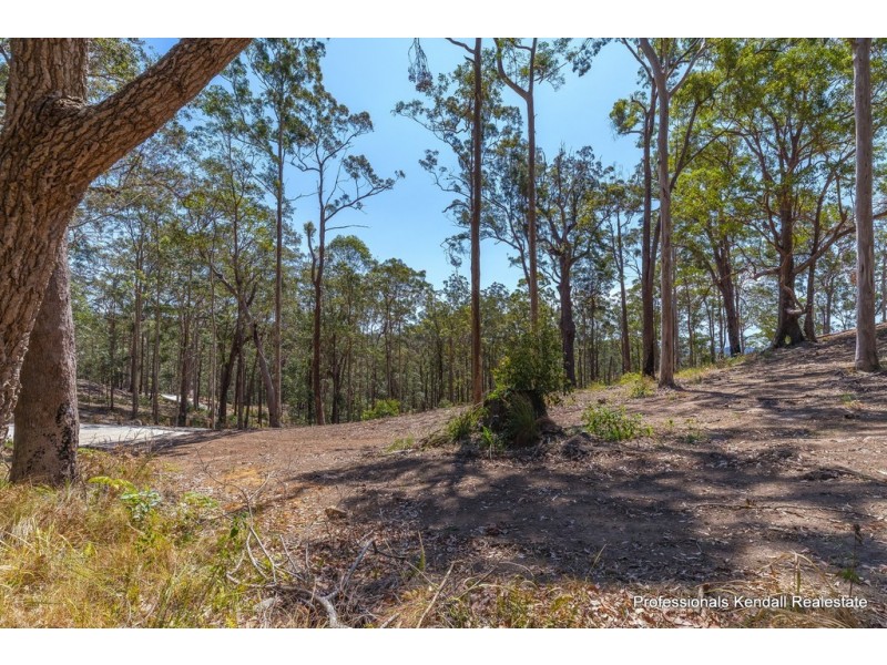 108I Wongawallan Road, Tamborine Mountain QLD 4272