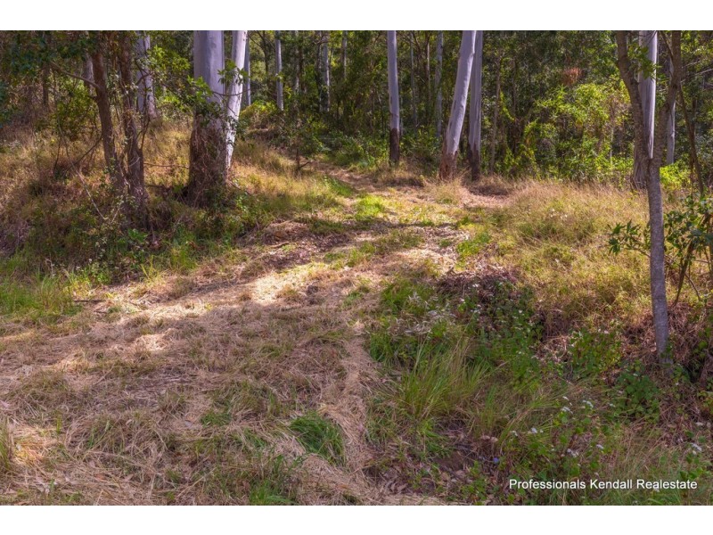 13 Ambon Court, Tamborine Mountain QLD 4272