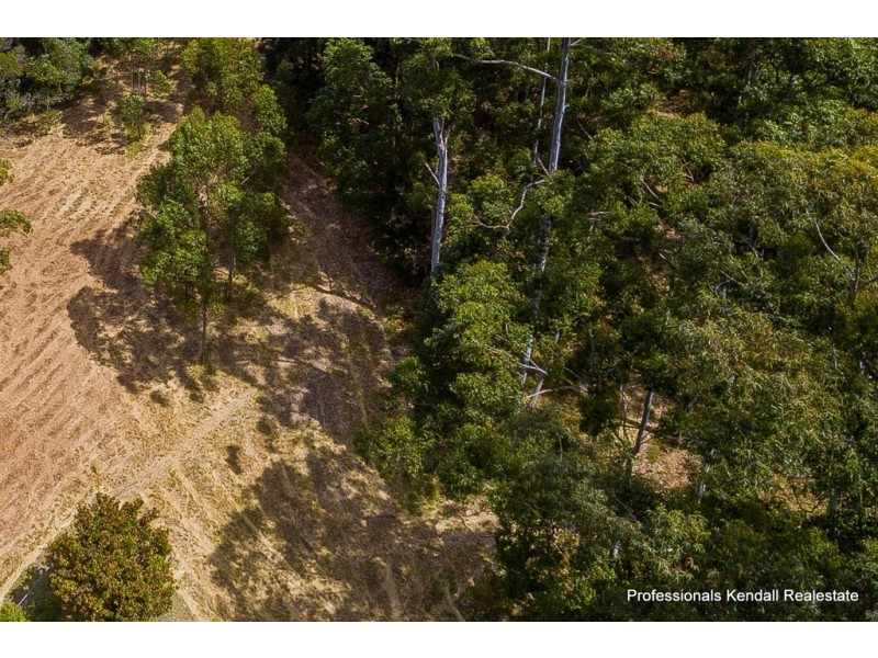 13 Ambon Court, Tamborine Mountain QLD 4272