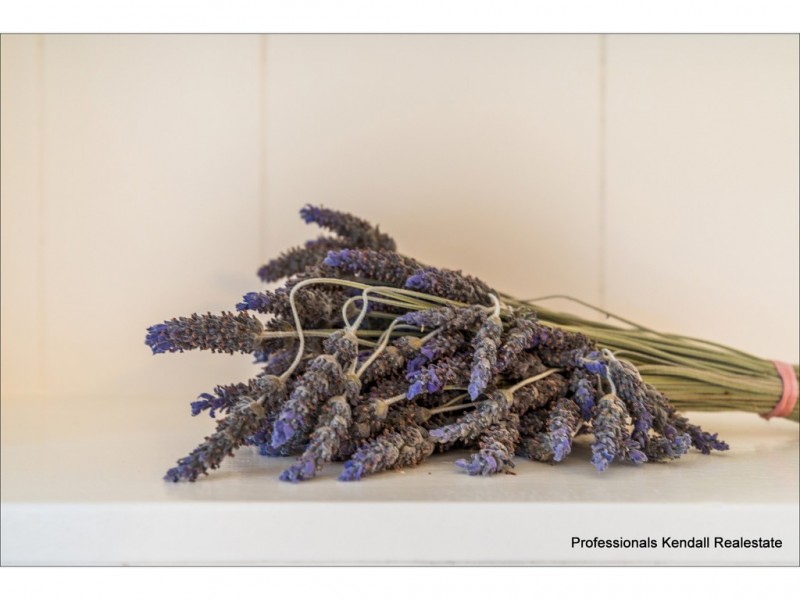 Unit 1/27-31 Southport Ave, Tamborine Mountain QLD 4272