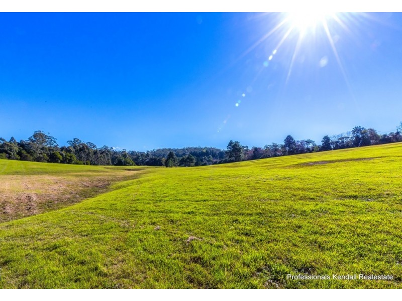 83 Curtis Road, Tamborine Mountain QLD 4272