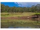 905G Main Western Road, Tamborine Mountain QLD 4272