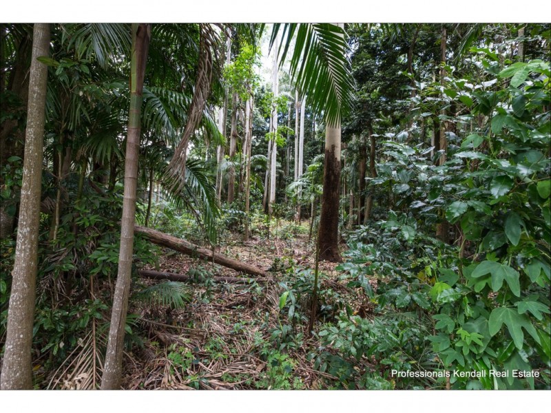 9-11 Lahey Road, Tamborine Mountain QLD 4272