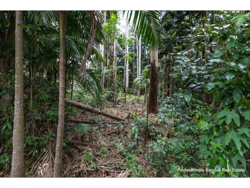 9-11 Lahey Road, Tamborine Mountain QLD 4272