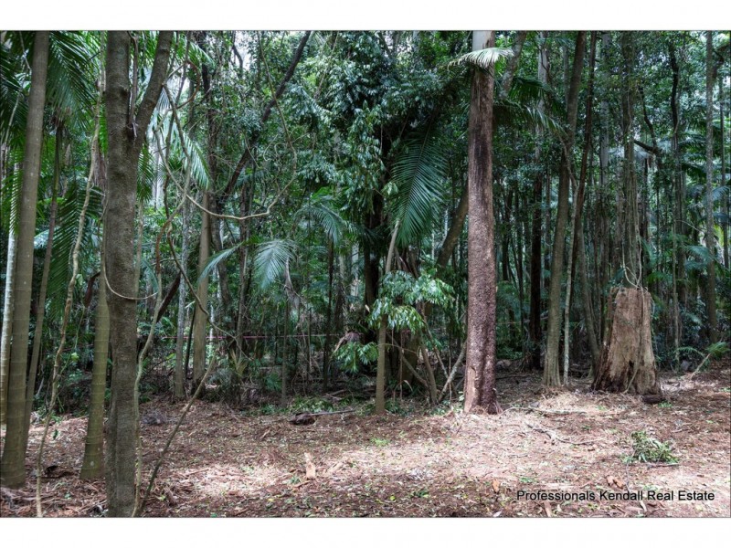 1-3 Lahey Road, Tamborine Mountain QLD 4272