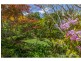 30 Cibola Drive, Tamborine Mountain QLD 4272