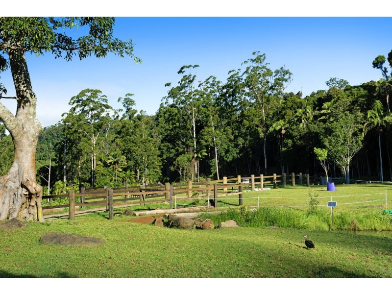 107 The Shelf Road, Tamborine Mountain QLD 4272